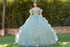 3D Floral Quinceañera Gown with Butterfly Details and Royal Train for Women 4/XS-16/3X